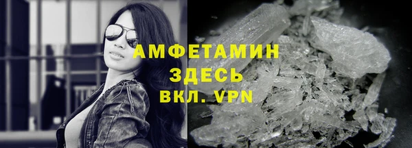 прущие грибы Покров