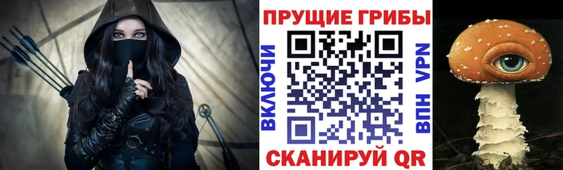 OMG вход  Кизляр  Псилоцибиновые грибы мицелий 